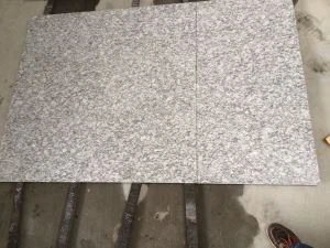 Granit Tile v Surf White